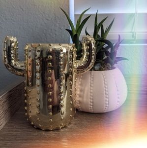 Cactus Pencil/Pen Holder